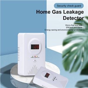 Detektor prirodnog/Lpg gasa